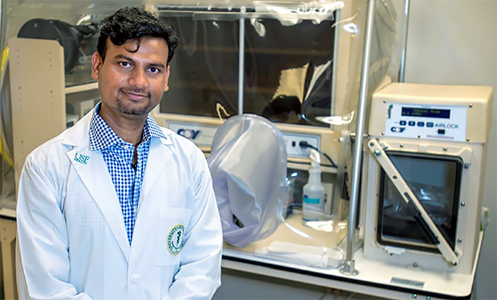 USF Health researchers developing probiotic cocktail that may help ward off dementia